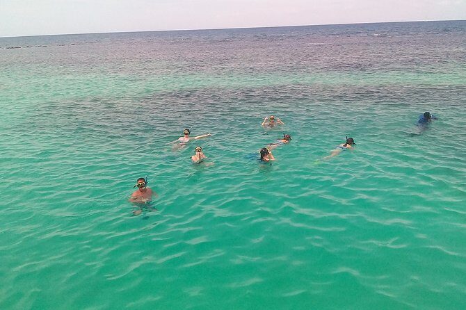 Ocho Rios Shore Excursion: Private Snorkel Tour - The Value of a Private Tour