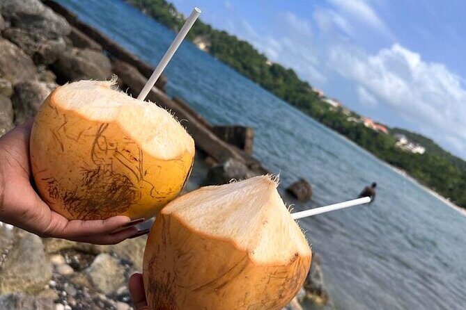 Ocho Rios Sightseeing Tours and Shopping - Who Is This Tour Best For?