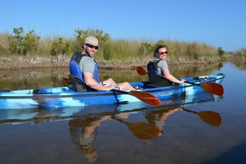 Ochopee: Half-Day Mangrove Tunnel Kayak Tour - Final Thoughts