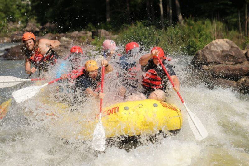 Ocoee River: Middle Ocoee Guided Rafting Tour - Scenic Views and Natural Beauty