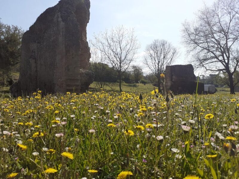 Ocriculum: entrance to the Umbrian archaeological park - Key Points