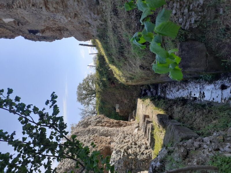 Ocriculum: entrance to the Umbrian archaeological park - Practical Details and Tips