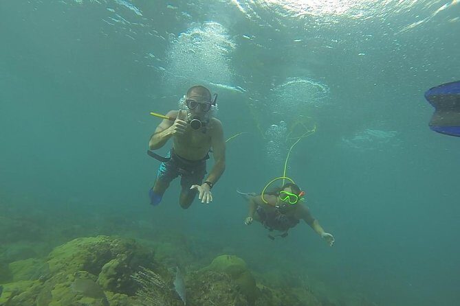 OCTOPUS DIVING (hookah diving) NO Experience Needed - Key Points