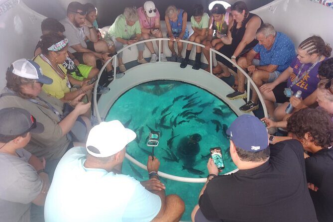 Oculus Glass Bottom Boat Tour - The Sum Up: Who Should Consider the Oculus Glass Bottom Boat Tour?
