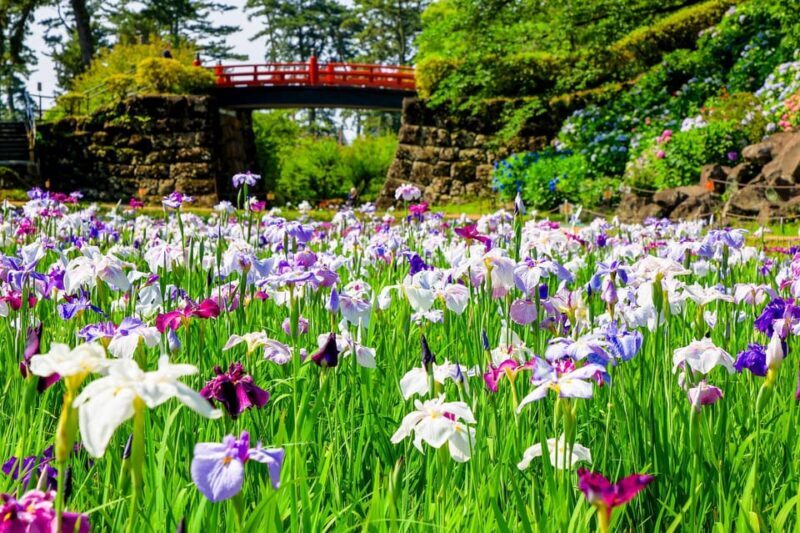 Odawara: Guided Ninja & Samurai Tour of Odawara Castle - An In-Depth Look at the Odawara Ninja & Samurai Tour