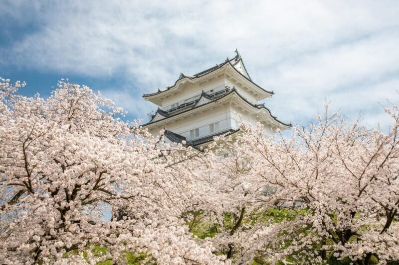 Odawara: Guided Ninja & Samurai Tour of Odawara Castle - FAQ