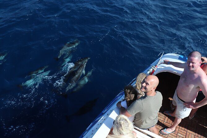 Odyssee 3: The Glass Bottom Boat Tour in Fuerteventura - An In-Depth Look at What to Expect
