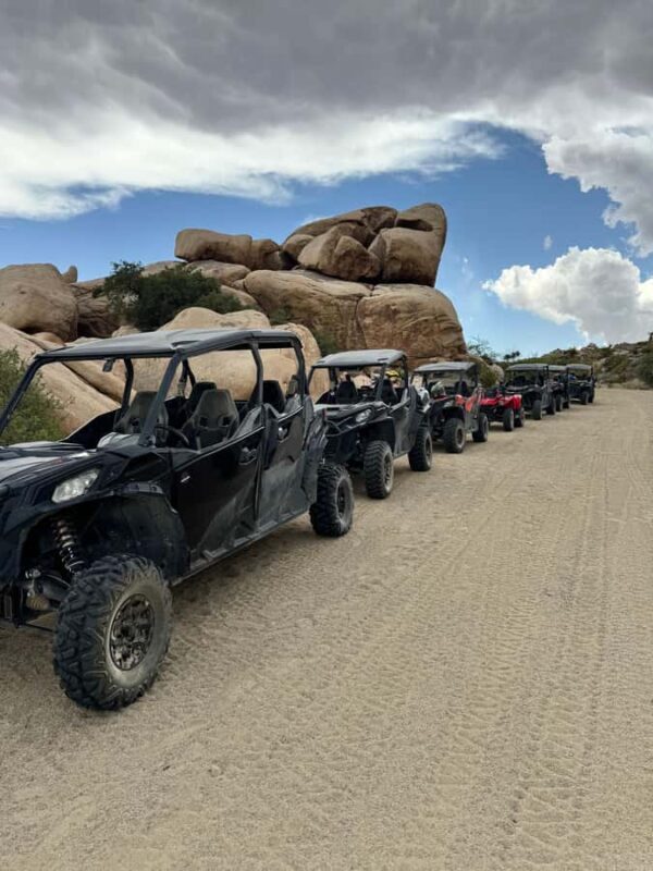 Off-Road ATV Adventure in Las Vegas - Price & Value Analysis