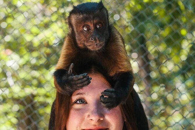 Off Road ATV Cenote Monkeys and Snorkel with Sea Turtles - Final Thoughts