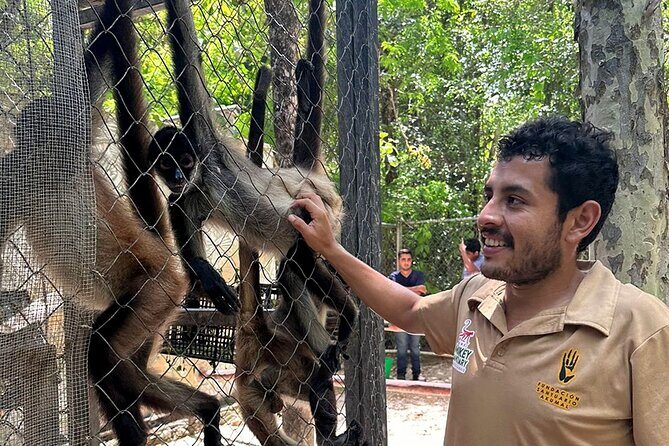 Off Road ATV Cenote Monkeys and Snorkel with Sea Turtles - FAQ