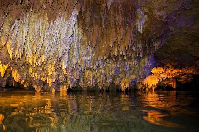 Off Road ATV Tour at the Akumal Monkey Rescued Animals Sanctuary - Practical Tips and Considerations