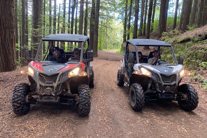 Off-Road Buggy Driving Experience - Key Points