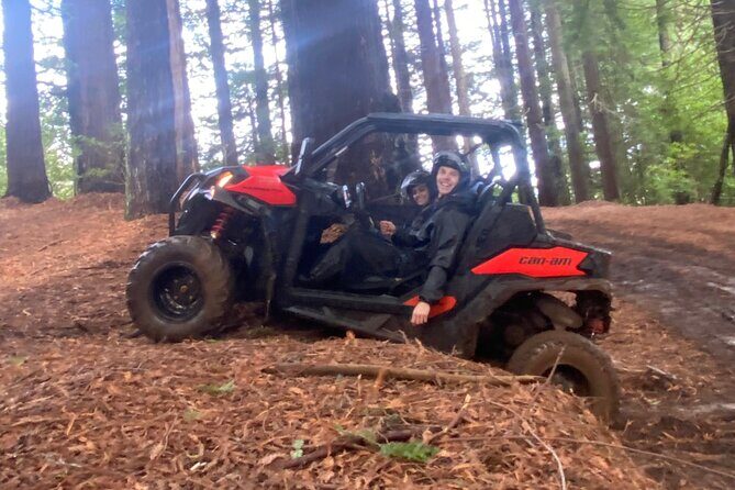 Off-Road Buggy Driving Experience - The Sum Up