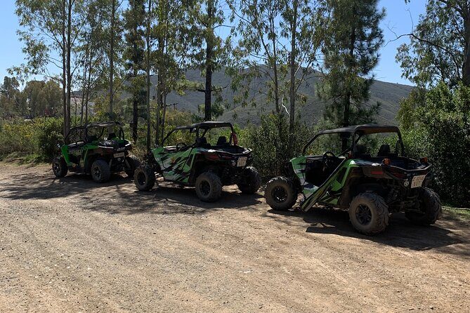Off-road buggy tour Sierra de Mijas buggy 2h - Who Should Consider This Tour