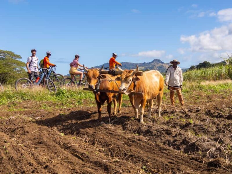 Off-road E-bike Tour with Local Guides - Off-road E-bike Tour with Local Guides: Discover Fiji’s Natural Beauty and Culture
