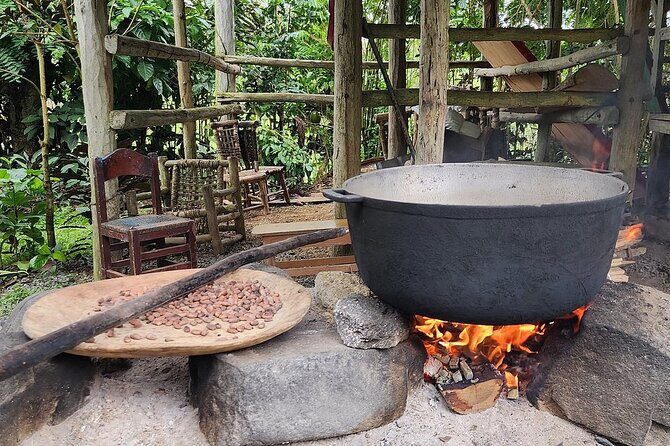 Off Road Punta Cana Jeep Safari Adventure Tour - The Authentic Experience: Why It Matters