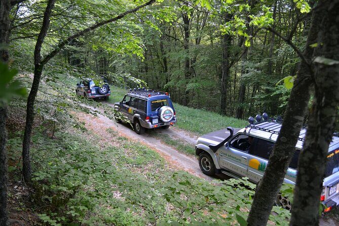 Off Road Safari Experience in Sithonia Halkidiki - Who Should Consider This Tour?
