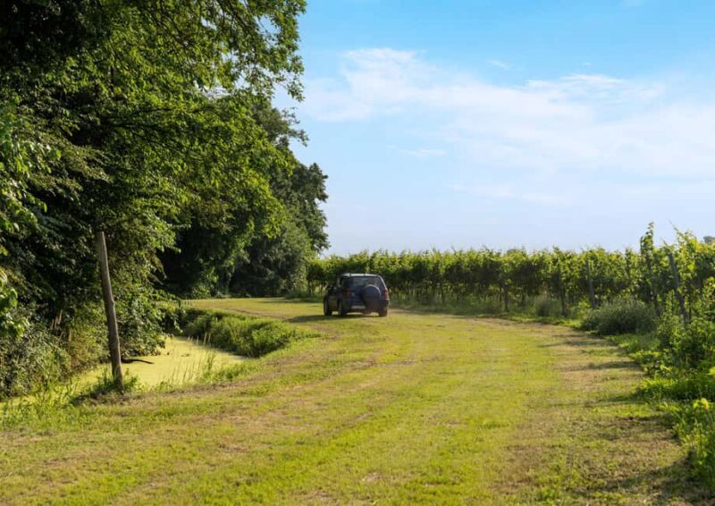 Off-road tour through vineyards and organic wine tasting Villa Bogdano 1880 - Who Will Love This Tour?