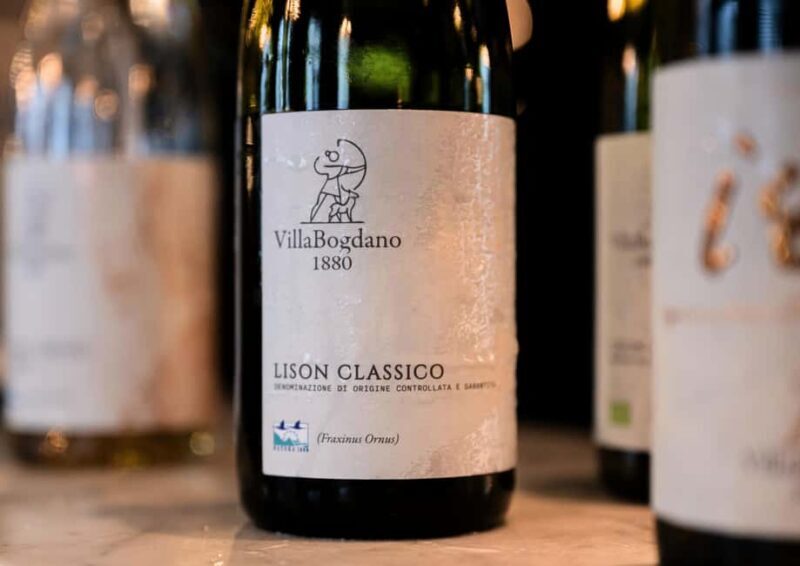 Off-road tour through vineyards and organic wine tasting Villa Bogdano 1880 - The Sum Up