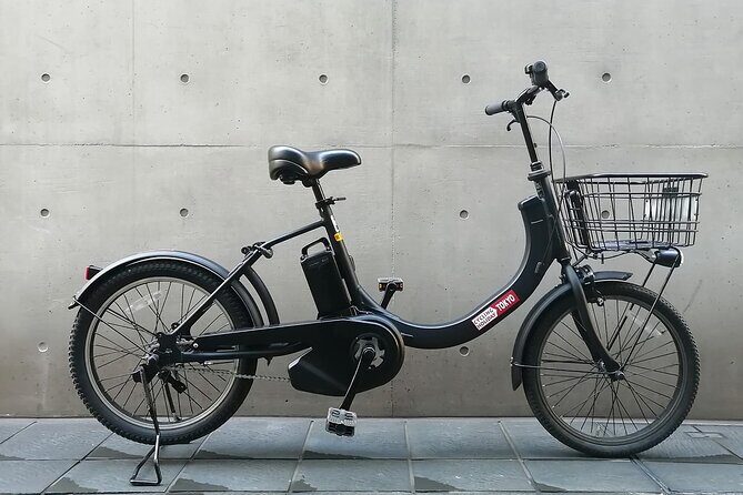 Off the beaten path E-bike tour tokyo with Local guide, 3hrs - A Deep Dive into the Experience
