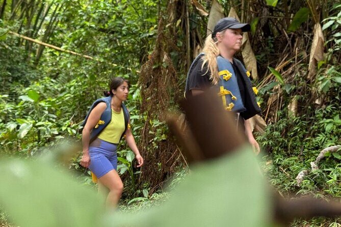 "Off the beaten path" Rain Forest Guided hike with Transportation - FAQs