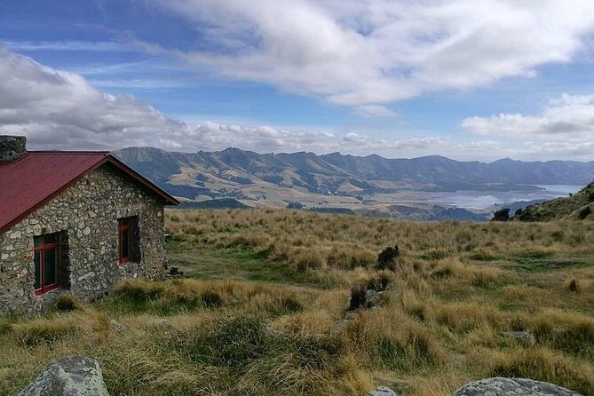 Off The Beaten Track- Packhorse Hut Guided Walk(Small Group Tour) - Exploring Christchurch’s Hidden Gems: The Off The Beaten Track Packhorse Hut Guided Walk