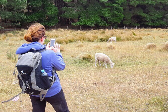 Off The Beaten Track- Packhorse Hut Guided Walk(Small Group Tour) - Who Will Love This Tour?