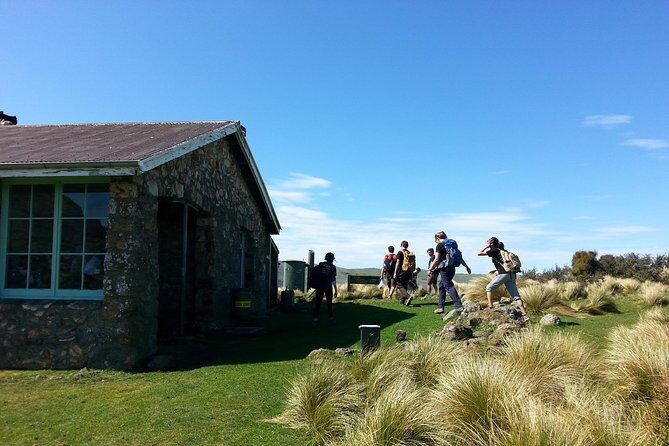 Off The Beaten Track- Packhorse Hut Guided Walk(Small Group Tour) - The Sum Up