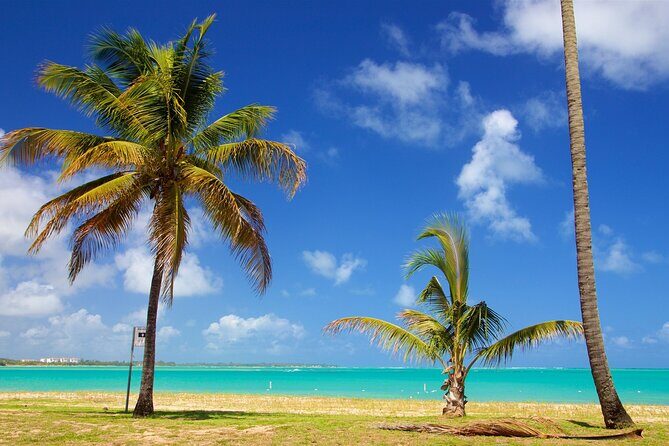 Off Trail Rainforest El Yunque and Beach Adventure Tour - Final Words