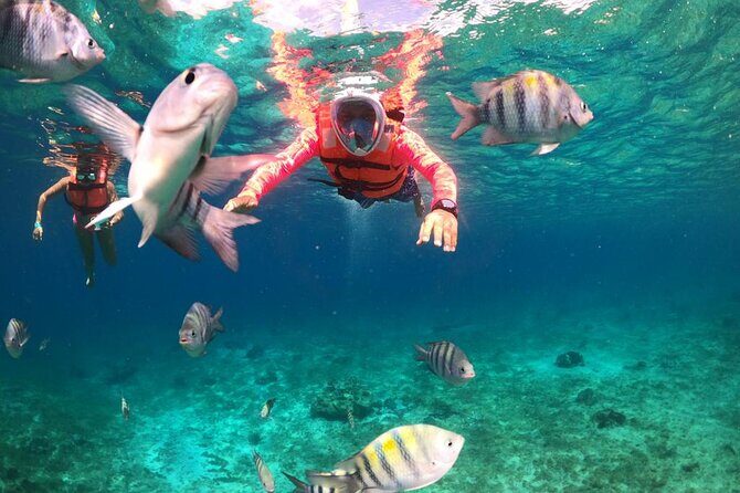 Official Chankanaab Beach Park Day pass with Lunch included - Final Thoughts: Who Will Love This?