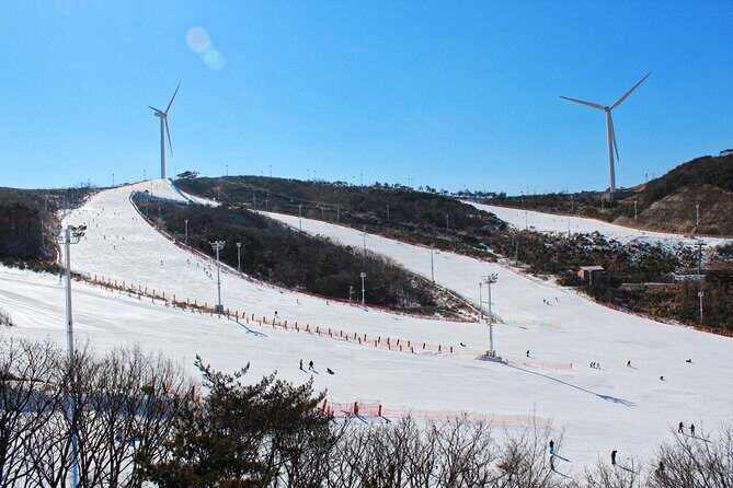 [OFFICIAL] Eden Valley Resort Winter Ski Day Tour from Busan - FAQs