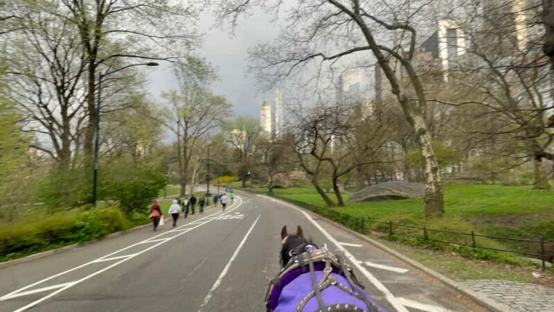 Official Exclusive VIP Horse Carriage Ride in Central Park - Key Points