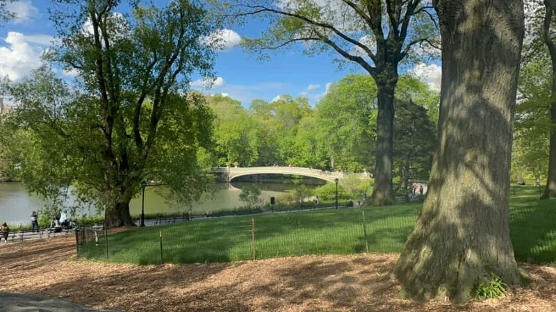 Official Exclusive VIP Horse Carriage Ride in Central Park - Final Thoughts