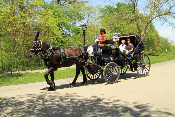 Official NYC Horse Carriage Rides in Central Park since 1979 - Key Points