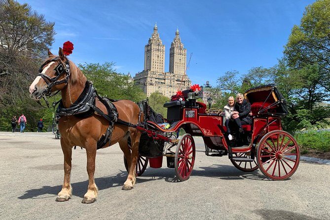 Official NYC Horse Carriage Rides in Central Park since 1979 - A Deep Dive into the Central Park Horse Carriage Experience