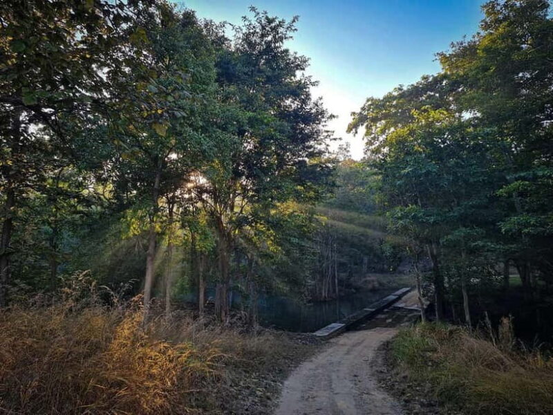 Official Panna National Park Sharing Tiger Safari - Key Points