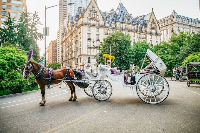 Official Private New York City Central Park Horse Carriage Ride Since 1965 - Practical Details for Your Planning