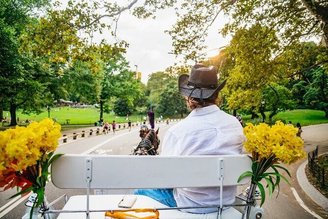 Official Private New York City Central Park Horse Carriage Ride Since 1965 - The Sum Up