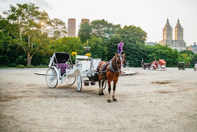 Official Private New York City Central Park Horse Carriage Ride Since 1965 - FAQ