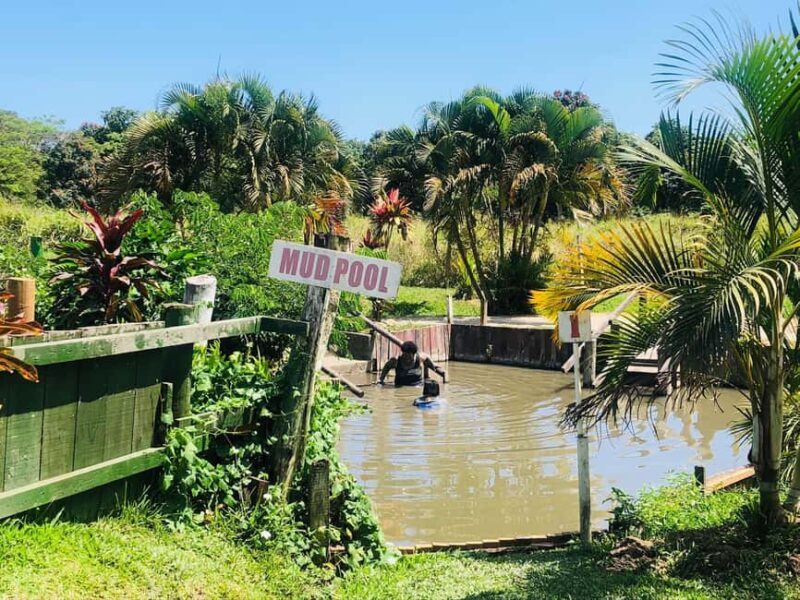 Official: Sabeto Hotspring and Mud Pool Tours & Tickets - The Sum Up: Why This Tour Is a Good Value