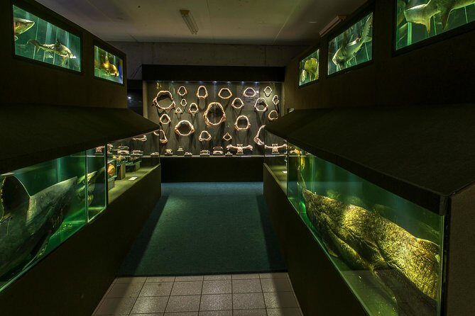 Official Ticket: Oceanographic Museum Univali - Piçarras - SC - Final Thoughts: Is It Worth Your Time?