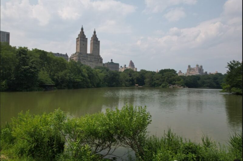 Official VIP Whole Central Park Horse Carriage Tour - A Detailed Look at the Central Park Horse Carriage Tour