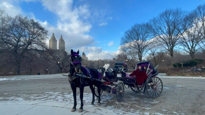 Official VIP Whole Central Park Horse Carriage Tour - Final Thoughts