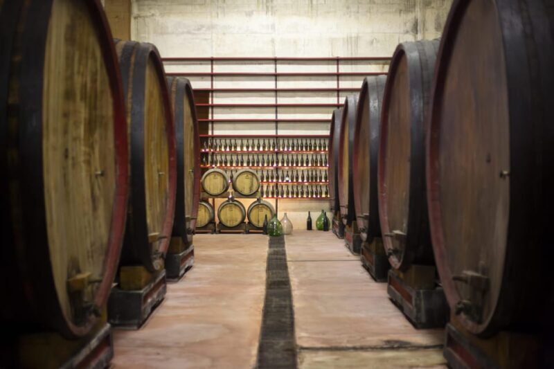Offida: Tasting itinerary of Rosso Piceno DOC Superiore - Who Will Love This Tour?
