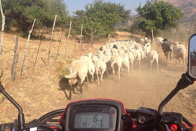 Offroad Cefalù Quad Tour - The Sum Up