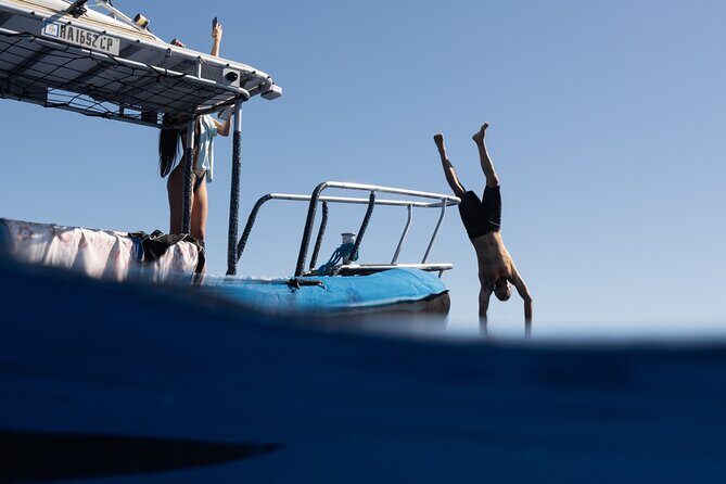 Offshore Safari Adventure in Kona with Underwater Videos - Key Points