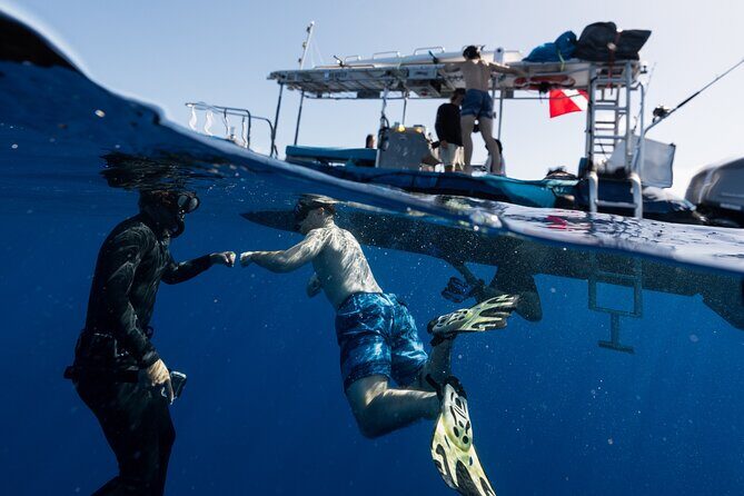 Offshore Safari Adventure in Kona with Underwater Videos - FAQs