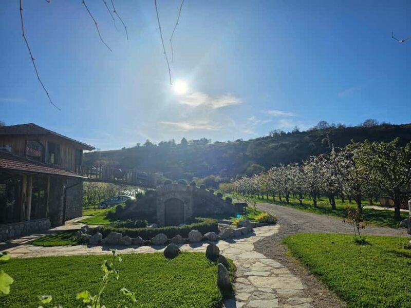 Ohrid: Distillery Balaklija Traditional Rakia Tasting - Who Should Consider This Tour?