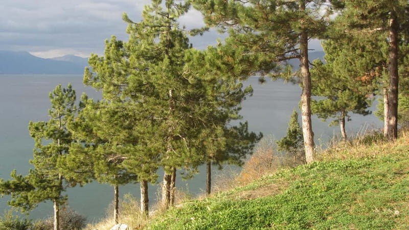 Ohrid: Old Town Bike Rental - Exploring Ohrid’s Old Town on Two Wheels: A Detailed Review
