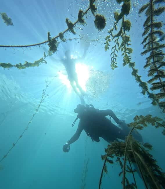 Ohrid: Scuba Diving Experience in Lake Ohrid - The Sum Up